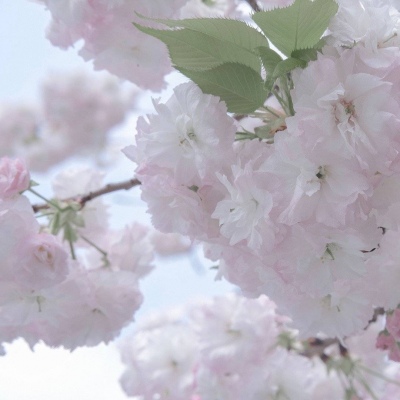 双滦FurryQQ群介绍